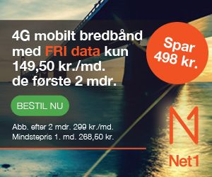 NET1 Internet
