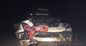 Rekordforsøg stoppet af Zebra The Longest Drive